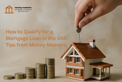 Real Estate Investment