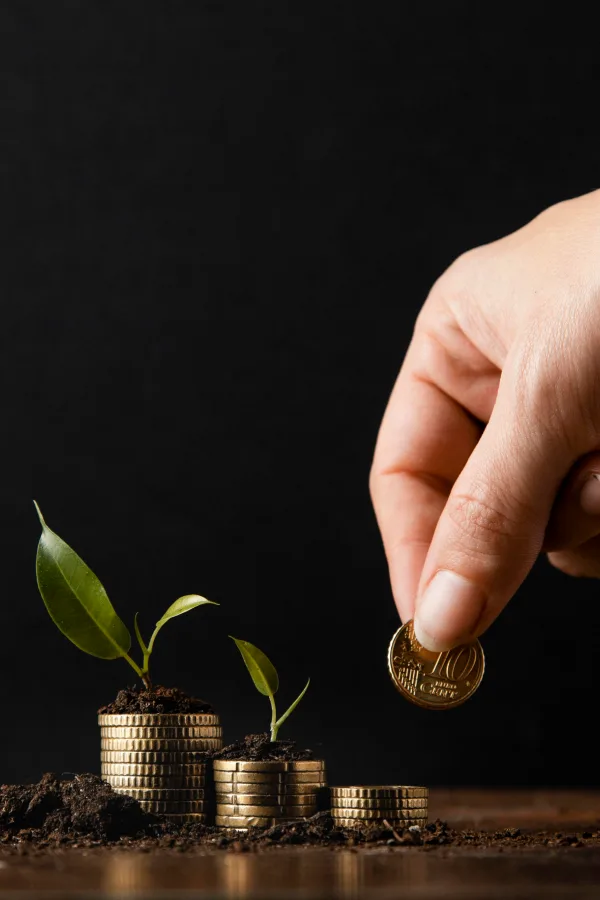 Refinance/Equity Release